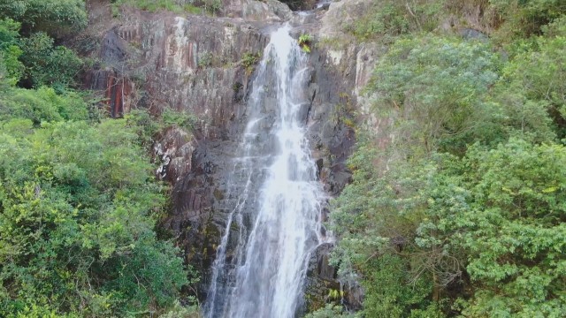 0820溪水潺潺 飛瀑流翠_2021-08-20_14-38-23.jpg