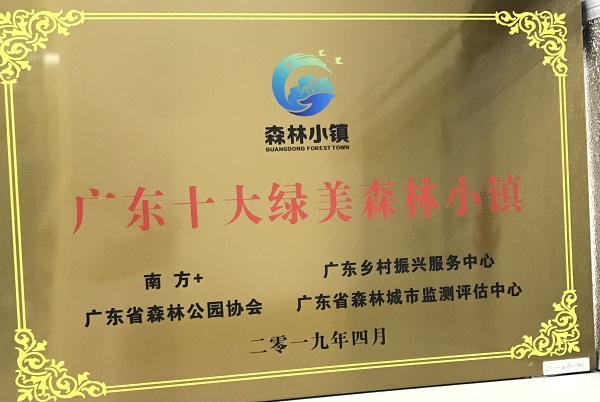 廣東省森林公園協(xié)會、廣東鄉(xiāng)村振興服務中心、廣東省森林城市監(jiān)測評估中心贈贈予“廣東十大綠美森林小鎮(zhèn)”牌匾.jpg