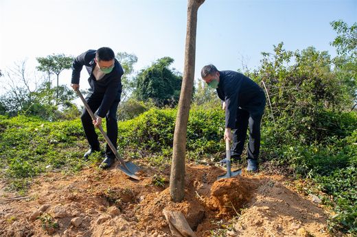 長安：全民義務(wù)植樹 共建“綠道之城”_結(jié)果.jpg