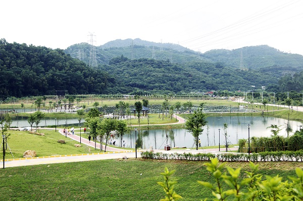 2019年9月29日，契爺石水庫濕地公園開放，生態(tài)高顏值。 (1).jpg