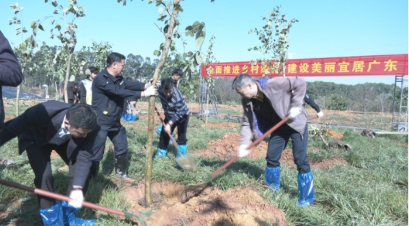 “植”此青綠！厚街開展義務(wù)植樹活動.png